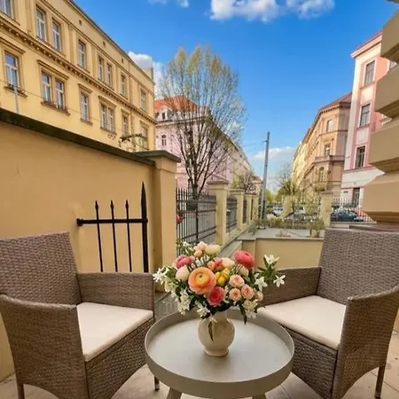 Beautiful With Terrace In Center Of Appartement *