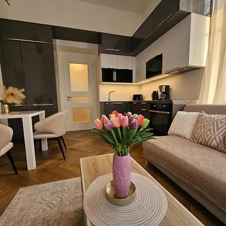 Beautiful With Terrace In Center Of * Praga